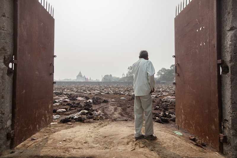 Widok przez bramę na festiwal Gadhimai